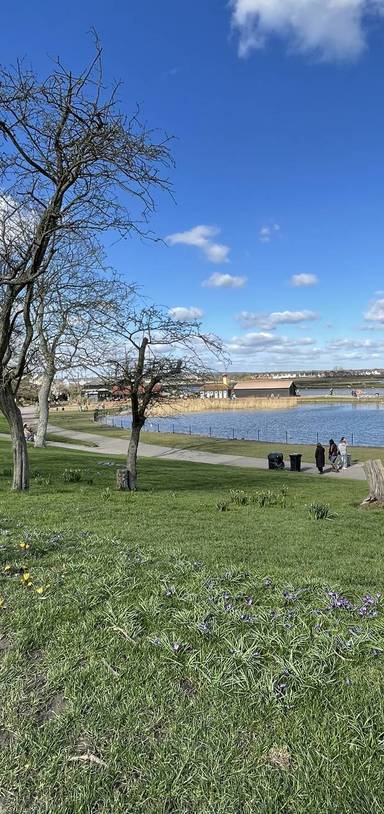 Preview of Promenade Park Trail - Step Free