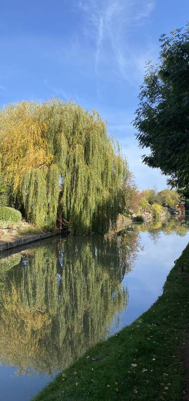 Preview of Cropredy Battlefield Walk