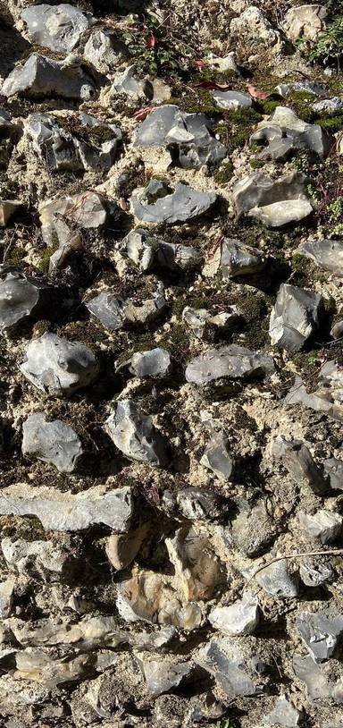 Preview of Reading Abbey Ruins Puzzle Walk