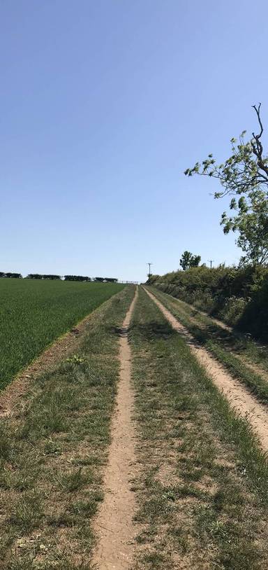 Preview of Welham Hill Walk