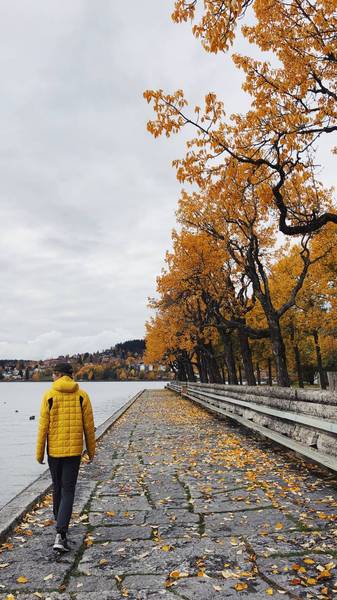 Preview of Badhusparken Östersund 