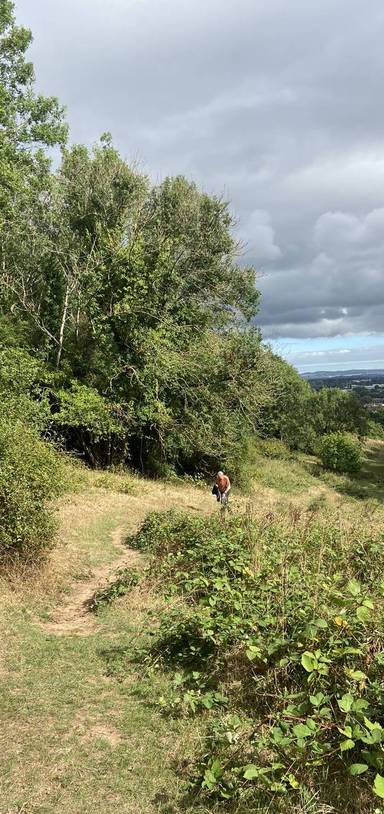 Preview of Barley Valley Nature Challenge