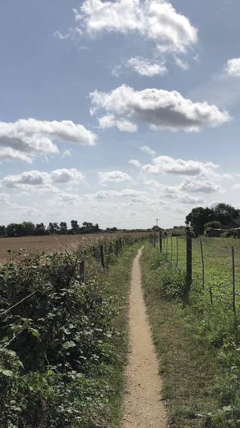 Preview of The Bure Valley Loop