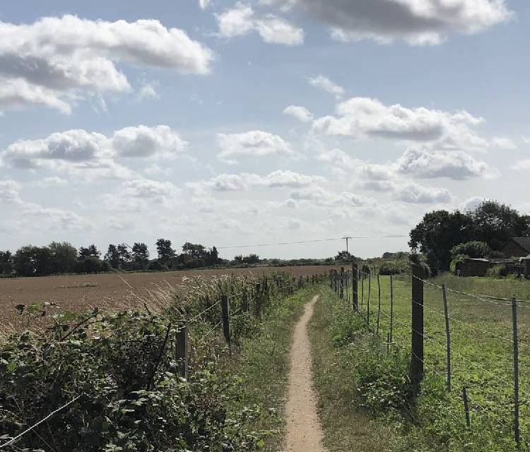 Preview of The Bure Valley Loop