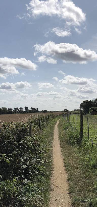 Preview of The Bure Valley Loop