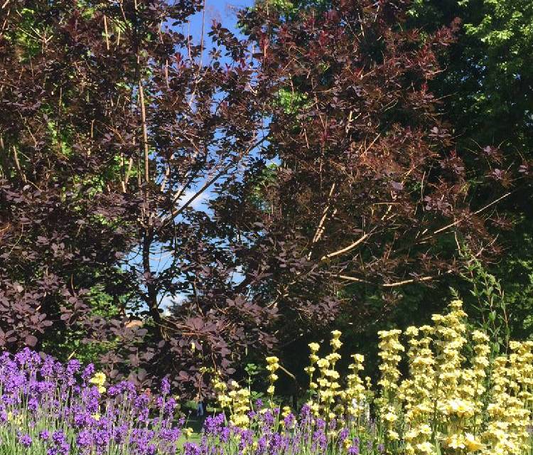 Preview of Walk Goodge St to Russell Square
