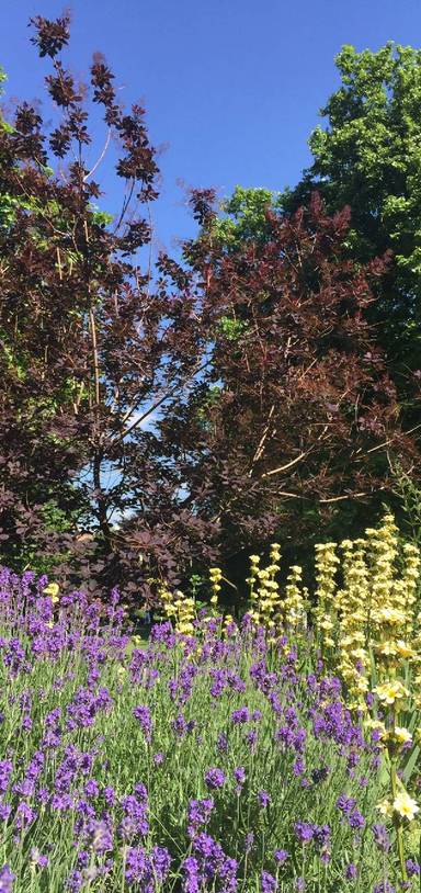 Preview of Walk Goodge St to Russell Square