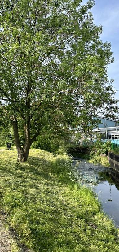 Preview of The Bulwell to Mellish Nature Trail