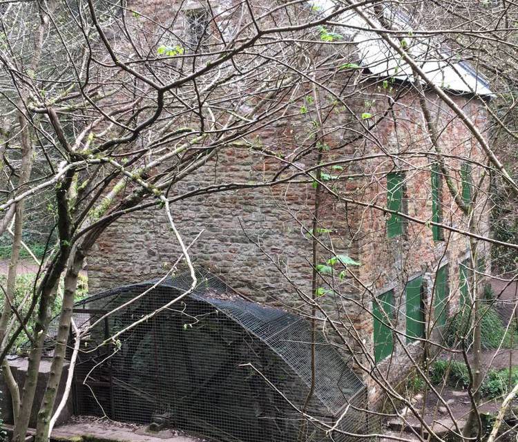 Preview of Sea Mills to Blaise Hamlet