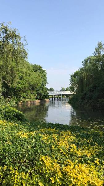 Preview of Thames Path, Day 8