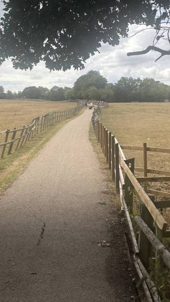 Preview of Wonderful Woodgate Valley