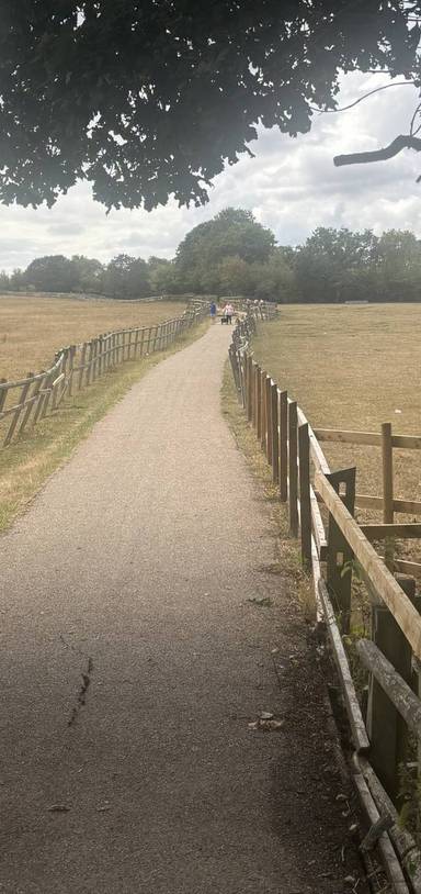 Preview of Wonderful Woodgate Valley