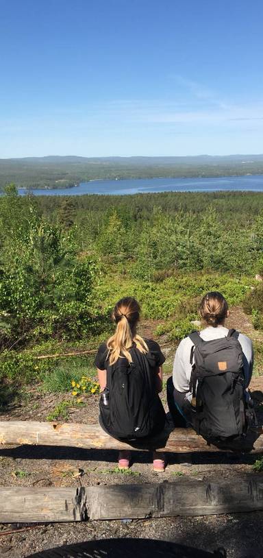 Preview of Views, hotdogs & secret cabins