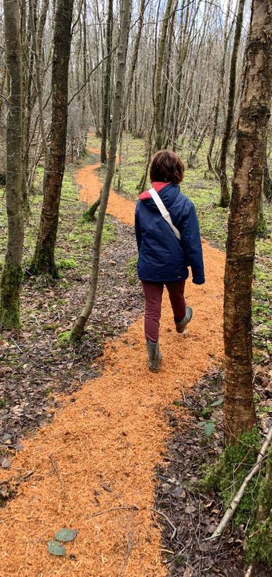 Preview of Roebuck Vert Wood Circle