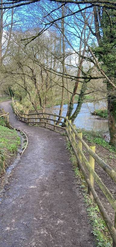 Preview of Alyn Waters Country Park