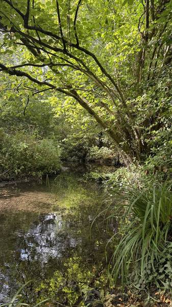 Preview of Hall Green Naturehood Trail