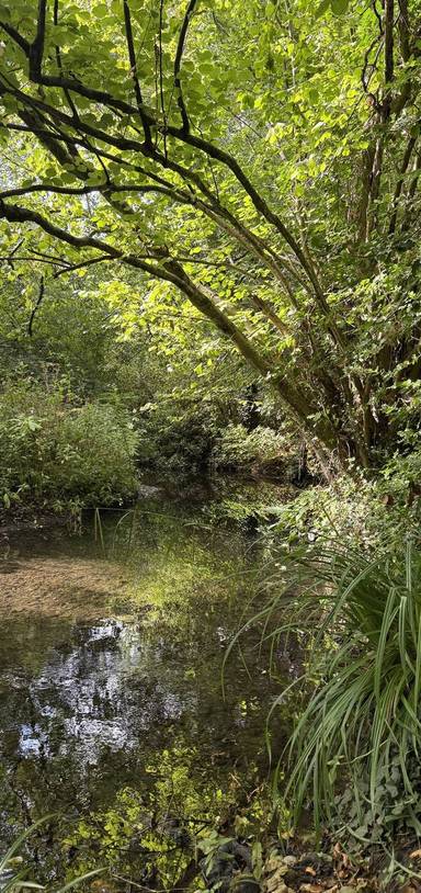 Preview of Hall Green Naturehood Trail