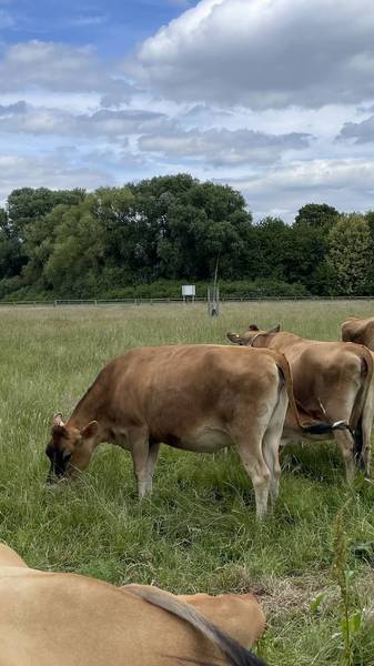 Preview of Sheldon Country Park Trail