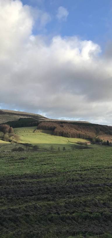 Preview of Macc Forest & Ridgegate Reservoir