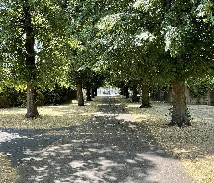 Preview of Goodmayes Park loop