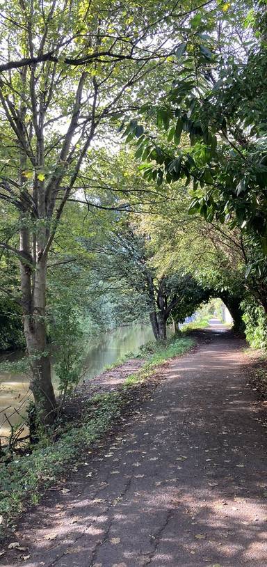 Preview of Wildlife and Waterways (on Wheels)