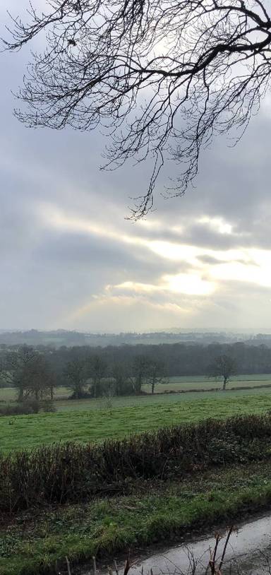 Preview of Enville and the Sheep Walks