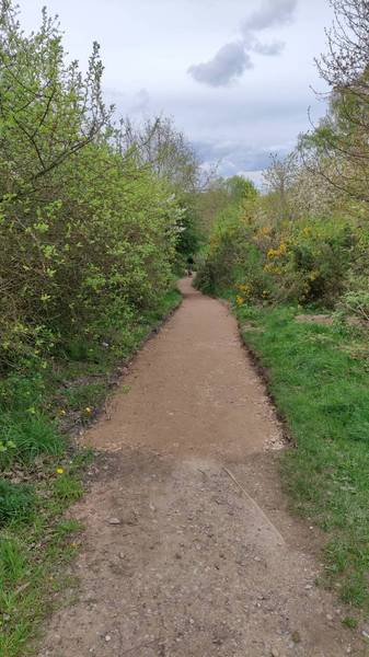 Preview of Bulwell Forest Circular Walk