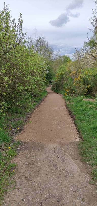 Preview of Bulwell Forest Circular Walk