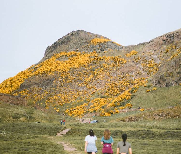 Preview of Arthur’s Seat (The best route!)