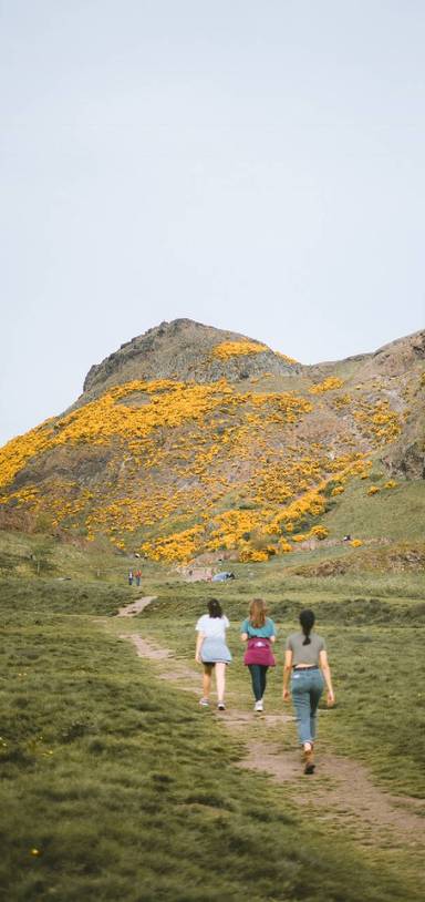 Preview of Arthur’s Seat (The best route!)