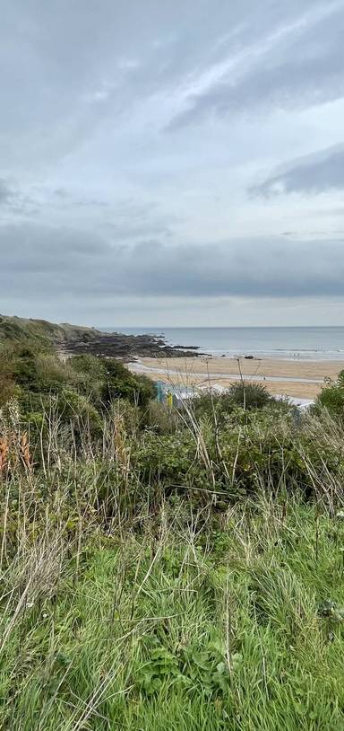Preview of Coldingham to St. Abbs Coastal Walk