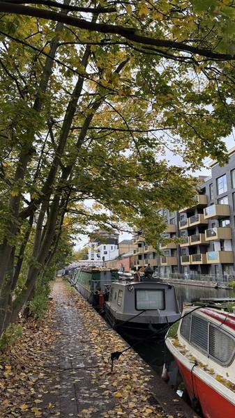 Preview of North Paddington Nature Pilgrimage