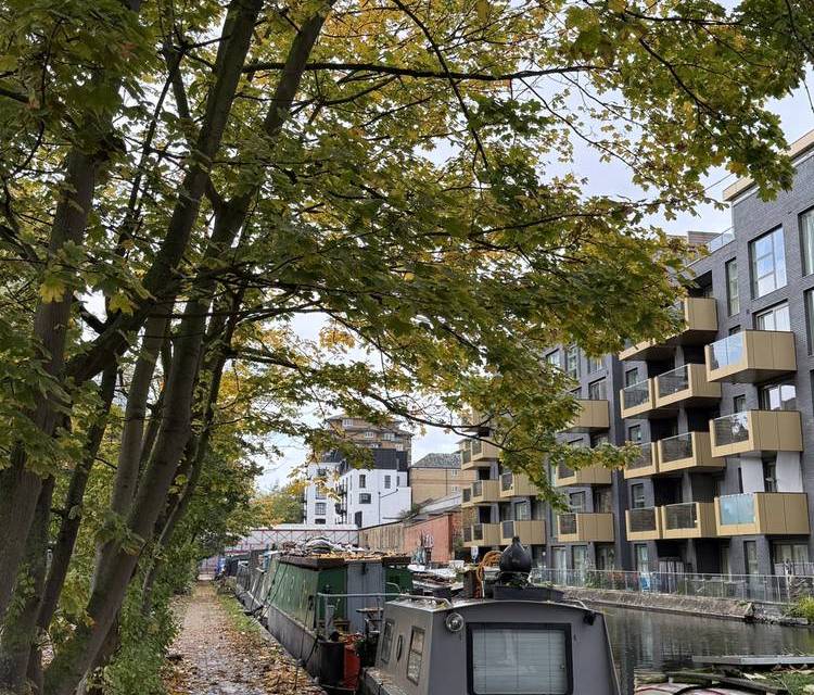 Preview of North Paddington Nature Pilgrimage