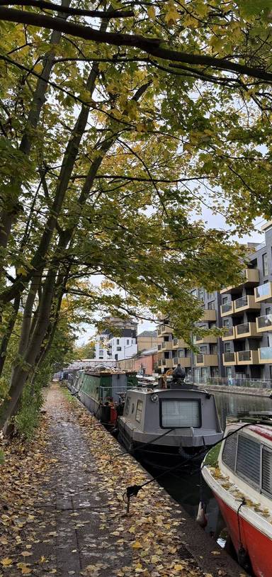 Preview of North Paddington Nature Pilgrimage