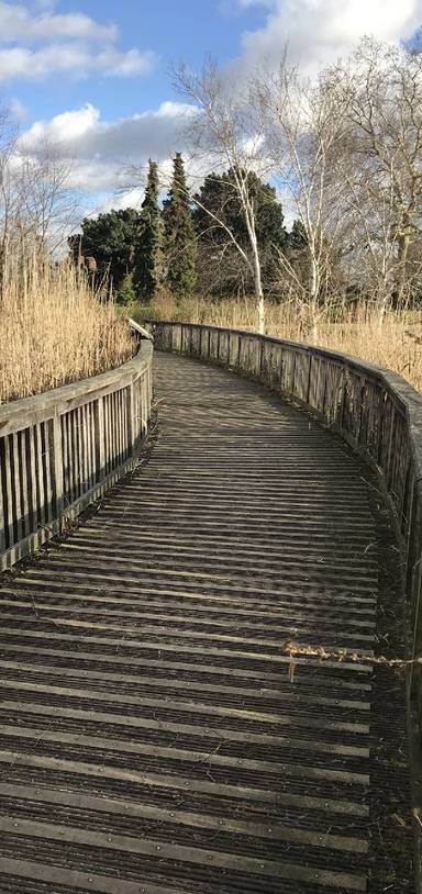 Preview of Regents Park South