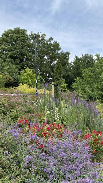 Preview of Brockley Bimble Walking Trail