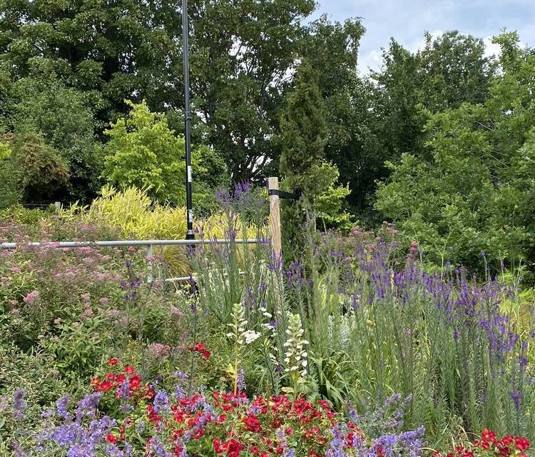 Preview of Brockley Bimble Walking Trail