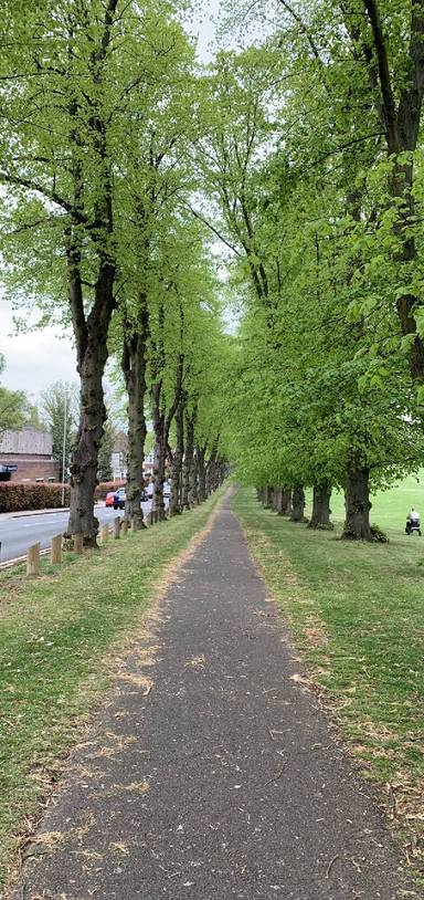 Preview of Racecourse circular