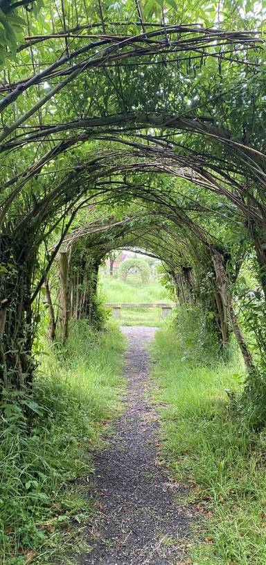 Preview of Brentwood Butterfly Meadow Puzzle