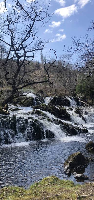 Preview of The Avich Falls Loop