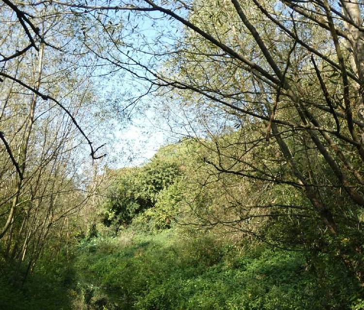 Preview of Manor Woods Valley Tour