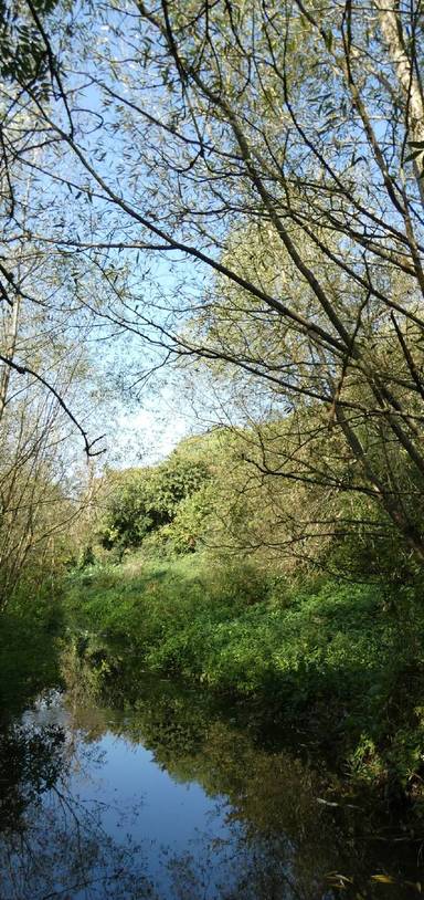 Preview of Manor Woods Valley Tour