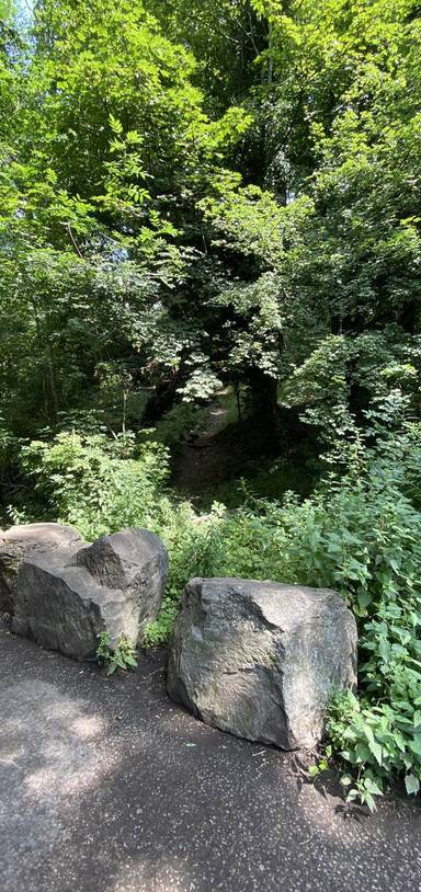 Preview of Scrambling & Rambling Ridge Wood