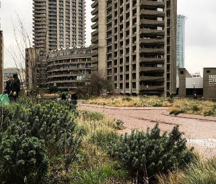 Preview of The Brutalist Barbican