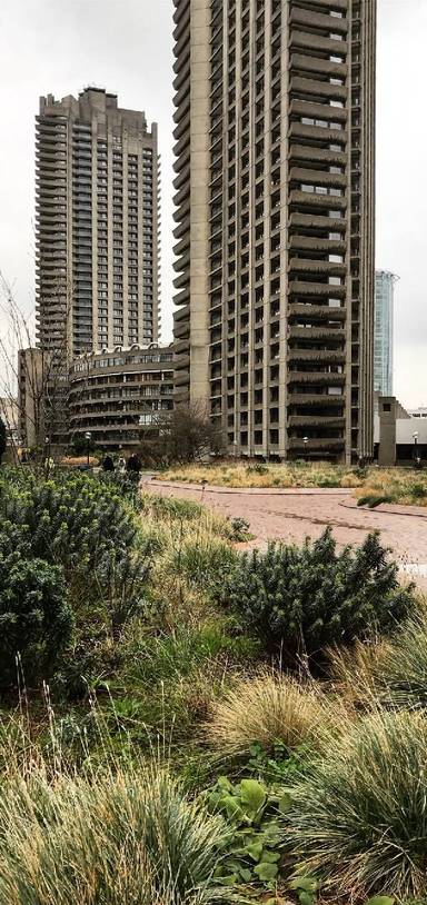 Preview of The Brutalist Barbican