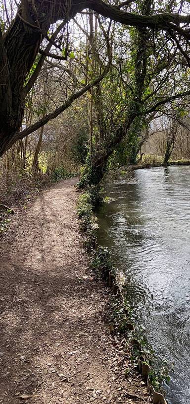 Preview of Itchen Navigation: Full Route