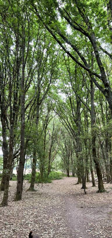Preview of Henfield Three Park Challenge