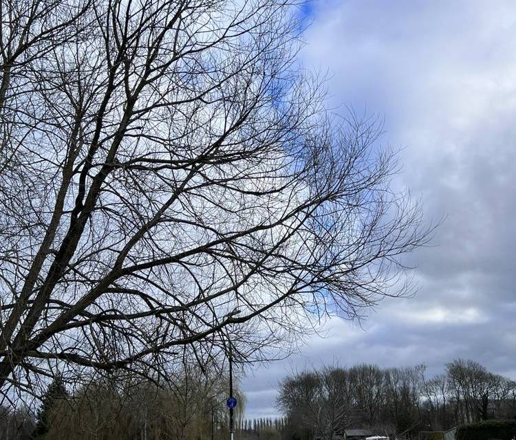 Preview of Reading & Caversham Thames Trail