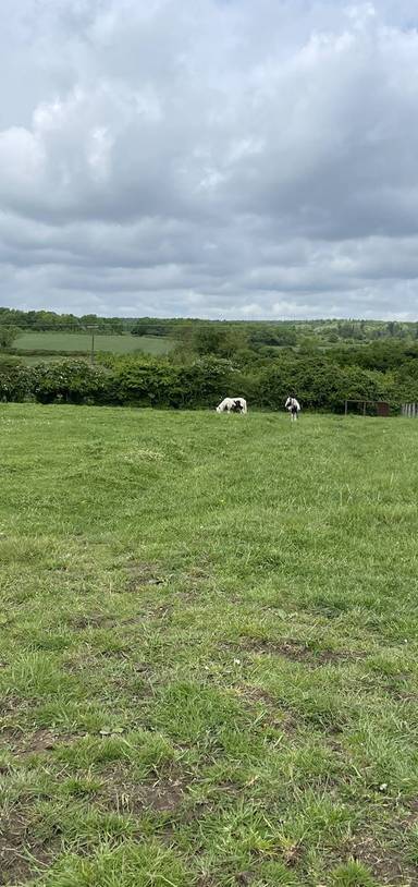 Preview of Glenfield and Groby Loop