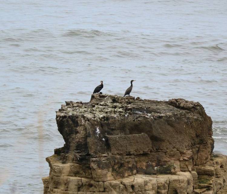 Preview of Loop Around the Lighthouse